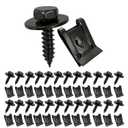50PCS M4.2 Screw & U Nut Kit
