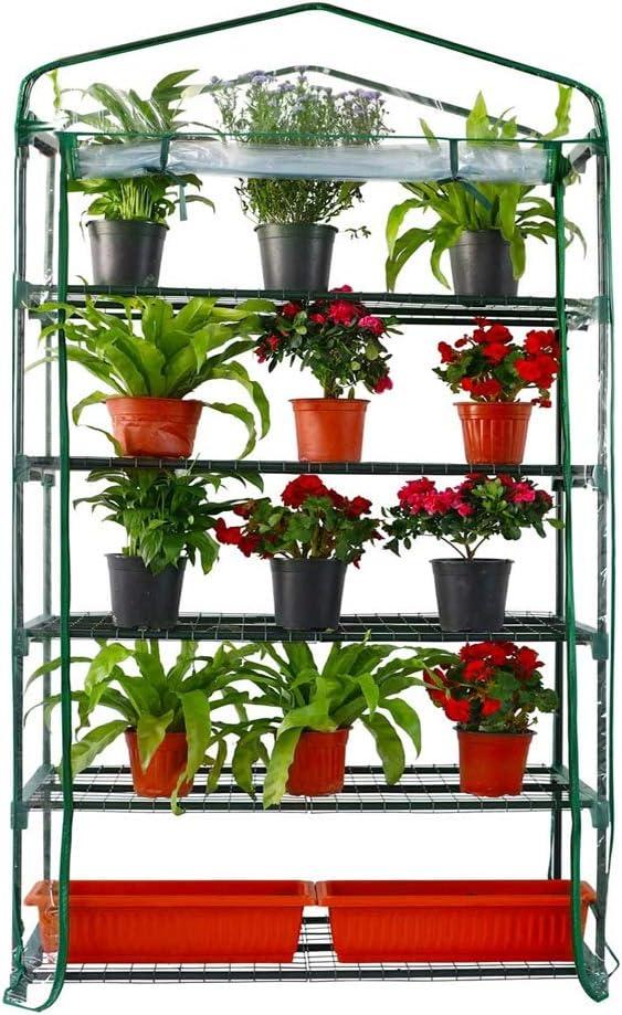 Worth Garden 50% Extra Wide Mini Greenhouse 5 Tier Portable Plant Green House 40in Wide -Sturdy Gardening Shelves with PVC Cover - Indoor & Outdoor Wheatgrass Growing - 19x40x75