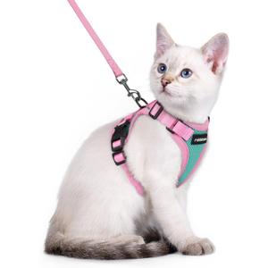 rabbitgoo Cat Harness and Leash Set, Escape Proof Soft Adjustable Vest Harnesses for Outdoor Walking, Easy Control Breathable Kitten Jacket with Reflective Strips, Green & Pink, XXS