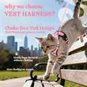 rabbitgoo Cat Harness and Leash for Walking, Escape Proof Soft Adjustable Vest Harnesses for Cats, Easy Control Breathable Reflective Strips Jacket, Pink, XS