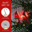 Cardinal Solar Hanging Lights 2 Pack,Cardinals Red Bird Figurine Lights with Bouncy Springs Decor for Christmas Outdoor Indoor Garden Yard Porch Decor