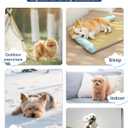 Striped Dog Shirts for Small Medium Dogs - Summer Mellow Collared Polo T Shirt Puppy Cotton Clothes Cats for Cute Boy Girl Pets, Navy Blue, Small