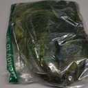 Green Wigs with Bangs for Women 14 Inch Short Wavy Bob Wigs With Bangs Synthetic Bob Wig Curly Wig Heat Resistant Colorful Wavy Wig Cosplay Wigs For Daily Party Halloween