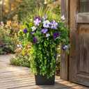 Waipfaru Artificial Plants & Flowers, UV Resistant Fake Plants Artificial Flowers Outdoors, Realistic Faux Petunias Fake Hanging Plants for Outside Garden Balcony Yard Porch(10 Bundles Purple White)