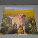 2026 Calendar, Wall Calendar 2026, Dogs 12 Month Wall Calendars (Jan - Dec 2026) 12" x 24" Opened, Hanging Monthly Calendar Thick Paper for Kids Family Adults Office Home