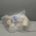 Aila+Aiden 2-in-1 Tummy Time Mat and Seated Support with Sensory Toys  for Newborns and Babies  Includes Detachable Cushion for Supervised Play & Head/Neck Development (Sand)