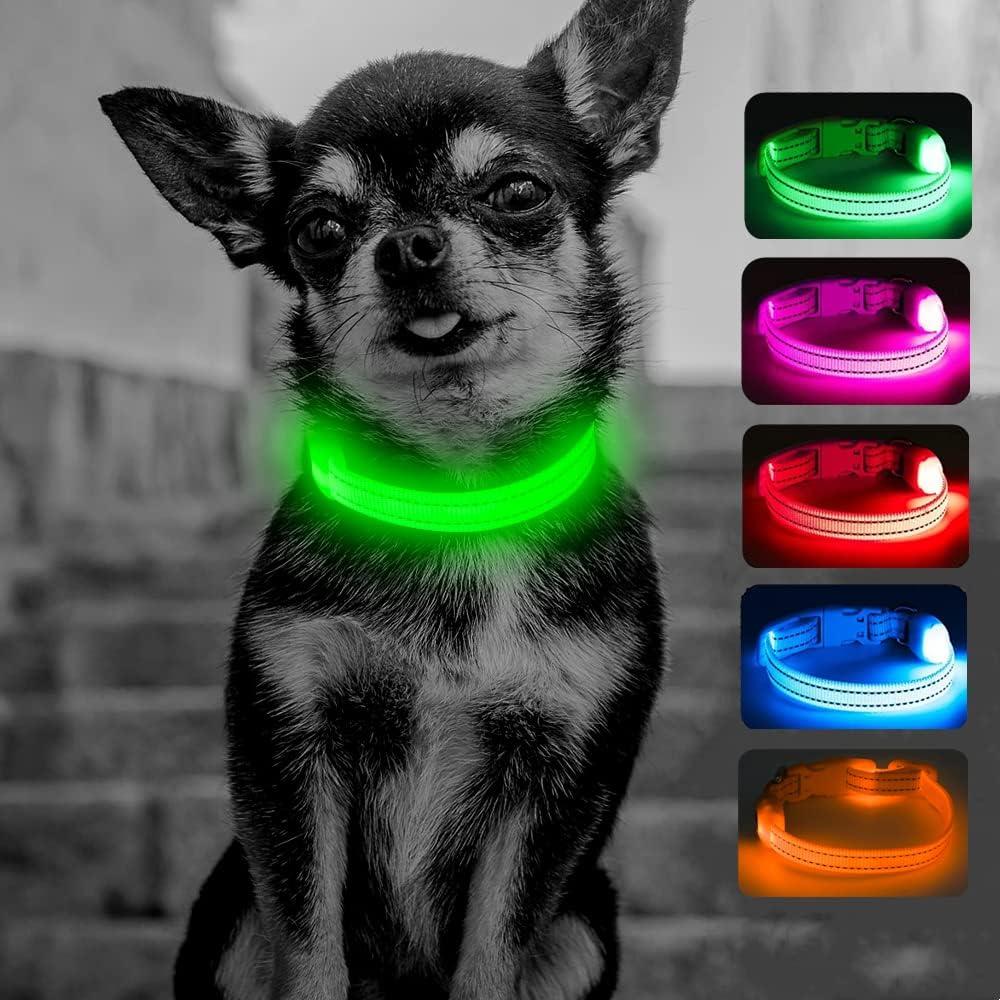 Candofly Light Up Dog Collar - LED Dog Collar Rechargeable - Glowing Puppy Collar Dog Lights for Night Walking (X-Small, Neon Green) (X-Small (8.5-11.8 inch))