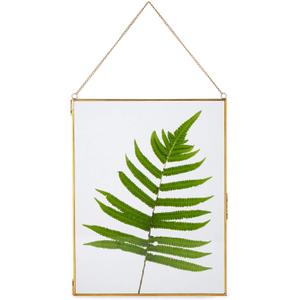 NCYP 11 x 14.1 Inches Double Glass Floating Frame for Artwork Photo, Certificate, Picture, Pressed Dried Flower Plant, Home Wall Hanging Decor, Large, Gold (Glass Frame Only)