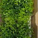 Velener 2Pcs Mini Artificial Boxwood Topiary Faux Plants Indoor- Small Fake Plants Decor Magnolia Home Office Desk Cubicle Farmhouse Kitchen Bookshelf Bedroom Bathroom Decor, Aloe Vera Zen Garden