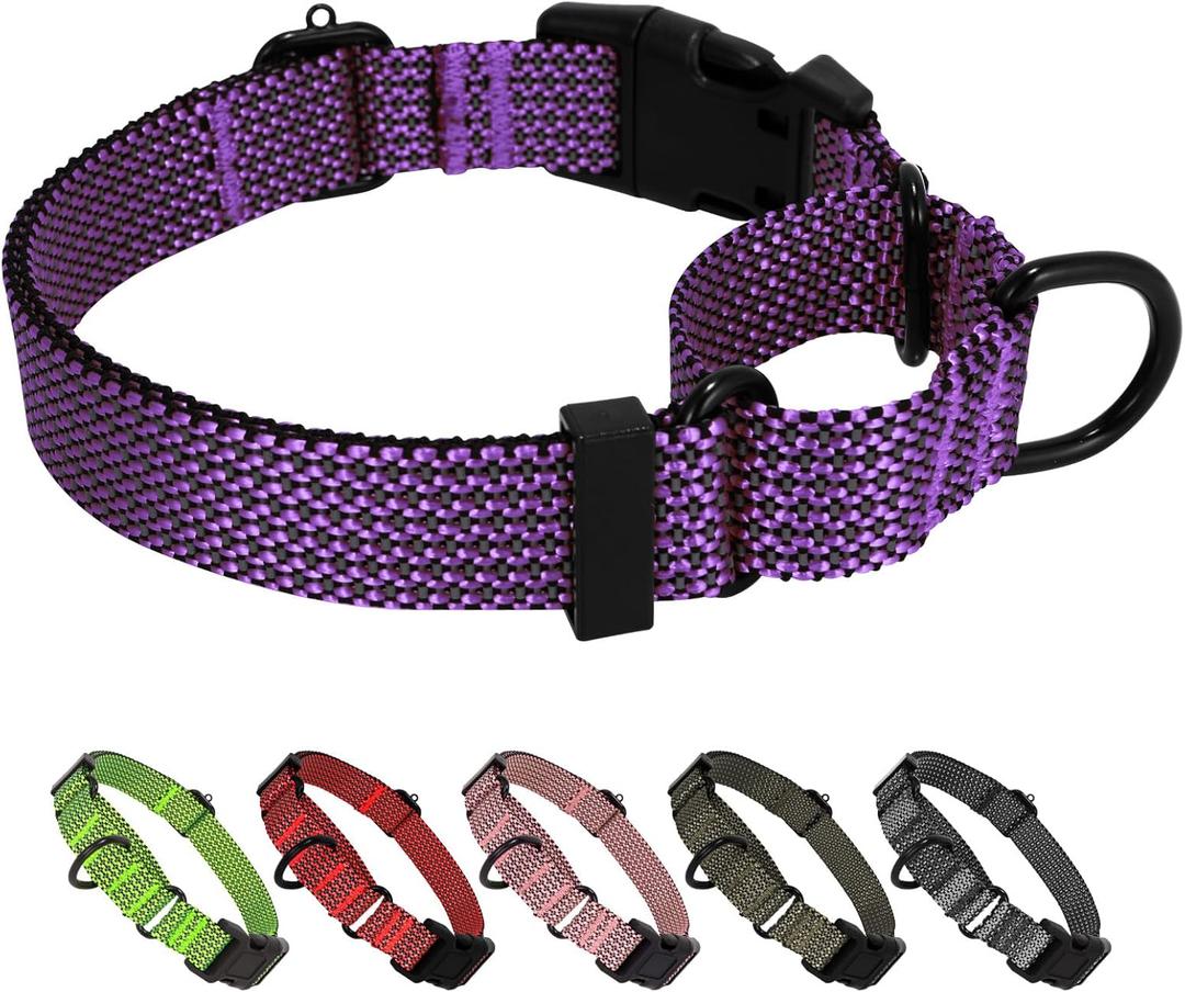 Martingale Dog Collars Adjustable Training Martingale Collar for Dogs - Reflective No Pull Dog Collar with Quick Release Buckle (Purple, XL)