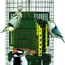 Squirrel Buster Suet Squirrel-Proof Suet Bird Feeder with Two Suet Cake Trays, Two Crumb Ports, Mess-Free Suet Loading, Durable Green Design for Clinging Birds
