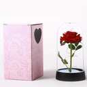 Gifts for Mom, Mothers Day Romantic Gift - Light Up Preserved Roses Enchanted Red Forever Silk Flowers for Mom Women Wife Girl Friend, Valentines, Birthday, Christmas, Thanksgiving, Wedding