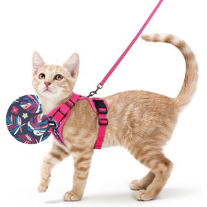 rabbitgoo Cat Harness and Leash for Walking, Escape Proof Soft Adjustable Vest Harnesses for Cats, Easy Control Breathable Reflective Strips Jacket, Coconut Fuchsia, Small