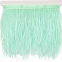 FQTANJU 2 Yards Soft & Natural Ostrich Feathers Fringe Trims Ribbon Used for Dress, Sewing, Craft Clothing, Lighting Decoration, Clothing DIY, etc. (Light Green)