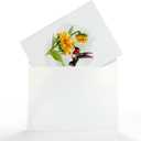CUTPOPUP Mothers Day Card Pop Up, 6x8in. Humming Bird 3D Pop-up Greeting, Birthday Card for Women, Wife, Grandma, Daughter, Mom & All Occasions (Hummingbird Sunflower)