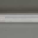 Cordless Blackout Roller Shades for Windows, Thermal Insulated UV Protection Pull Down Shades, Total Blackout Window Blinds for Home, Office, Bedroom, Door (55" W x 72" H, White)