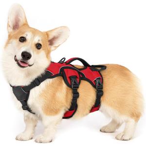 rabbitgoo Escape Proof Dog Harness, Soft Padded Full Body Pet Harness, Reflective Adjustable No Pull Vest with Lift Handle and Leash Clip for Large Dogs Walking Hiking Training, S, Red (Small (Pack of 1))