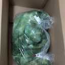 Talking 52cm Large T-Rex Dinosaur Plush Toy, with Talk Back & Sound Features, T-rex Cuddly 20 Inch Plush Toy Dino with Sound Effects and Talking Features