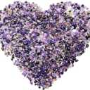 2 x 335g Amethyst Crystal Chips Purple Crushed Stones Bulk Tumbled Chips