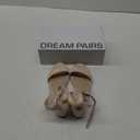 DREAM PAIRS Women's Open Toe Ankle Strap Low Block Chunky Heels Sandals Party Dress Pumps Shoes,Size 9,Nude/Suede,CARNIVAL