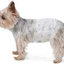 Male Dog Diapers, 40 Count, Large, Ultra Absorbent Disposable Wrap with Secure Fit, Leakproof and Comfortable