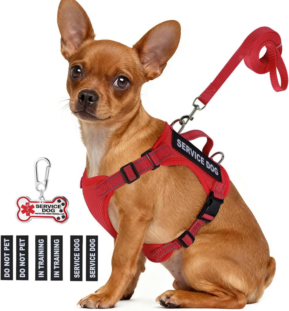 Service Dog Vest for Small Breed Dogs with ID Tag  Lightweight Puppy Harness and Leash Set with 6 PCS Patches, Ideal Service Animal Vest for Training, Complete Service Dog Gear, Red, M
