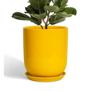 Ceramic Pot for Plants - 10 Inch Plant Pot Indoor with Drainage Hole and Saucer Large Planter for Outdoor Plants Cylinder Decorative Flower Pot Yellow