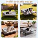 Elevated Cooling Dog Bed, Orthopedic Medium Cot 32"x25" Cool-touch fabric, Removable machine-washable mesh cover. Raised design keeps pet off damp floors. Supports up to 60 lbs.