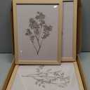 Framed Vintage Floral Wall Art  Set of 3 Large Beige Botanical Prints Modern Farmhouse Picture Poster Minimalist Wall Decor Paintingr for Living Room Dining Bedroom 12x16 Inches (White plants)