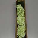 3 Pcs Real Touch Hydrangea Artificial Flowers, 21" Light Green Full Faux Hydrangea Flowers Latex Fake Flowers for Home Decor Party Floral Arrangements Wedding Bouquets Centerpieces Outdoor Decor