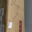 Yoleo Adjustable Weight Bench for Full Body Workout; Foldable Bench Press Bench of Home Gym Strength Training; Incline Decline Flat Utility Workout Bench with Quick Folding& Fast Adjustment (Black)