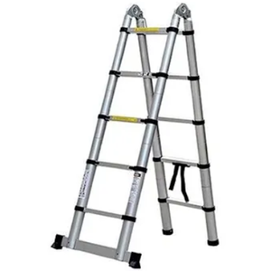 Telescopic Ladder, Silver