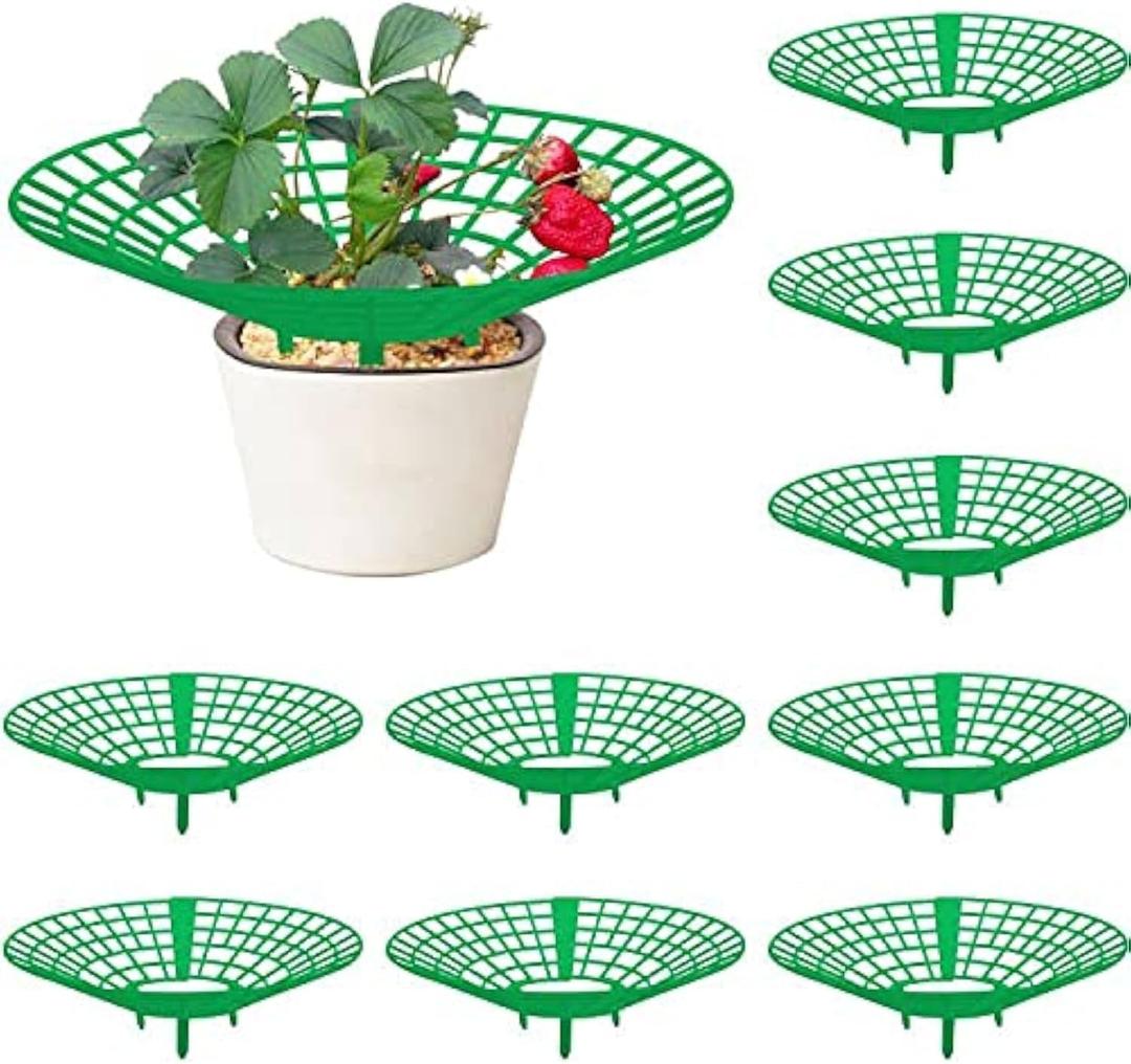 codree 10 Pack Strawberry Plant Supports, Strawberry Plant Stand with 3 Sturdy Legs, Strawberry Growing Racks, Strawberry Growing Frame, Protecting Strawberry Plants from Mold, Rot and Dirt, Green