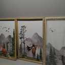 YWJKWLGS Wild Woodland Animals Nursery Wall Art Decor 16"24" Set of 3 Jungle Theme Safari Forest Deer Bear Fox Posters Wood Framed Sign for Children's Boys Girls Room Watercolor Prints Hanging (Wood)