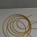 3 Pack Premium Round Plant Trellis Indoor, Small Metal Plant Support Stake for Climbing Plants, Different Sizes Gold Garden Trellis for Ivy and Flowers Outdoor