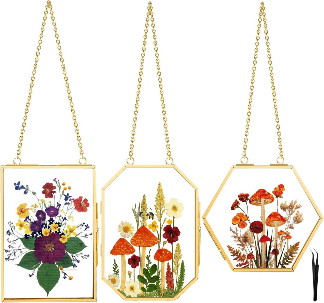 BABUFINE 3 Pcs Pressed Flower Frames with Tweezers, Double Glass Wall Hanging for Pressed Flowers, Brass Picture Frames with Metal Chain for Dried Flowers Plants Artwork Display,Only Frame