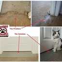 KittySmart Carpet Scratch Stopper-Stop Cats from Scratching Carpets at Doorways Instantly-PRECUT to Fit Your Door-Requires No Cutting or Modification