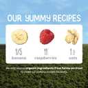 Happy Baby Organics Stage 2 Baby Food Pouches, Gluten Free, Vegan & Healthy Snack, Clearly Crafted Fruit & Veggie Puree, Bananas, Raspberries & Oats, 4 Ounces (Pack of 16) (EXP 04/23/26)
