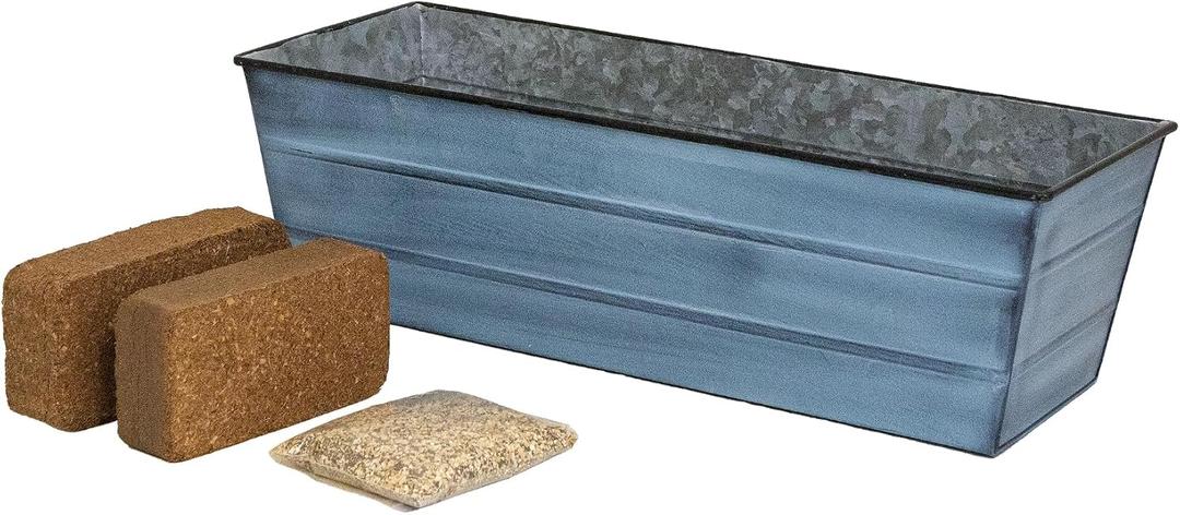 Bloom Box Garden Growing Kit, Medium Nantucket Blue