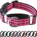 Hikiko Martingale Dog Collars Reflective Nylon Dog Collar with Quick Release Buckle Adjustable Training No Slip Dog Collar (X-Large, Hot Pink)