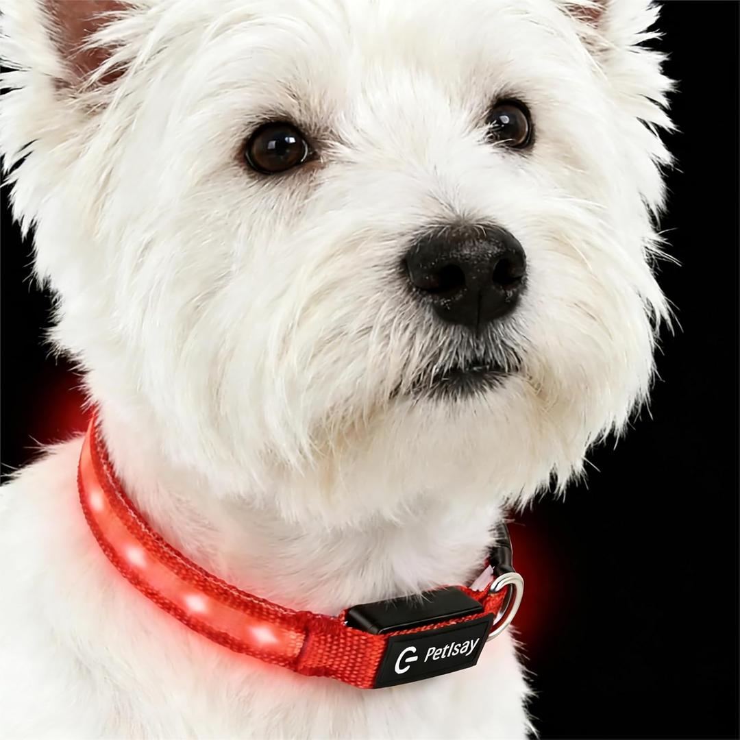 LED Dog Collar for Small Dogs Cats - Fully Waterproof & Adjustable Glow Collar - USB-C Rechargeable for Night Walking, Safety - Flashing Lighted Collar for Dogs(Red, S) (Small (Width:0.6",Length:10" - 14"))