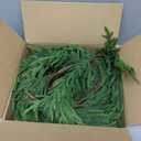 WBHome 9ft Real Touch Norfolk Pine Christmas Garland, Winter Greenery Garland for Christmas, Holiday Seasonal Outdoor/Indoor Home Decor, 9FT Long