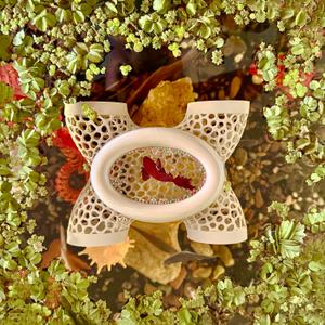 Aquarium Floating Betta Fish Log, Hide Tunnel and Hammock Toy, Small Fish Or Shrimp Hide Resting Cave, Floating Feeder, Feeding Ring, Tank Accessories Decoration (Wood Color)