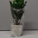 2PCS 12.2" Tall Artificial Monstera Plants for Office, Fake Plants Artificial Potted Plant Bathroom Decor Indoor Faux Tropical Plant Realistic Artificials for Home Office Table Bathroom Shelf Desktop