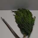 YXZZWL 4 Pcs Christmas Norfolk Pine Branches, 36 Inch Real Touch Artificial Norfolk Pine Branch Faux Cedar Pine Stem Fake Greenery Picks for Vase DIY Garland Wreath Home Garden Decoration