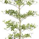 Black Olive Tree 7ft - Faux Black Olive Tree with Natural Trunk and Realistic Leaves - Realistic Artificial Shady Lady Trees for Modern Home Office Decor