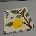 Embroidered Throw Pillow Cover 18x18 Inch - Summer Boho Decorative Pillow Cover with Zipper for Living Room Couch Sofa Bed Aesthetic Design Bird Lemon Linen Cushion Pillowcase