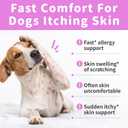 Itch Relief for Dogs - Turmeric Supplements for Itching Skin Comfort & Coat Health & Seasonal Allergy Care, Immune Support Supplement with Omega-3 Fish Oil, Biotin - Beef Flavor - 90 Count