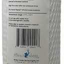 Home Master CfRFgaCC-20BB Replacement Whole House Water Filter, High Flow 20gpm, Radial Flow Granular Catalytic Carbon, 20" x 4.5" Fits Big Blue