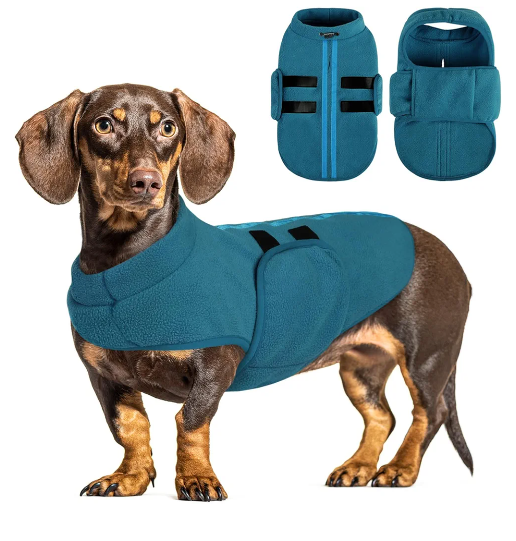 Queenmore Dog Sweaters - Soft Fleece Pullover Jacket, Warm Winter Dog Clothes, Dachshund & Cat Size, Boy or Girl (Peacock-Blue, S)